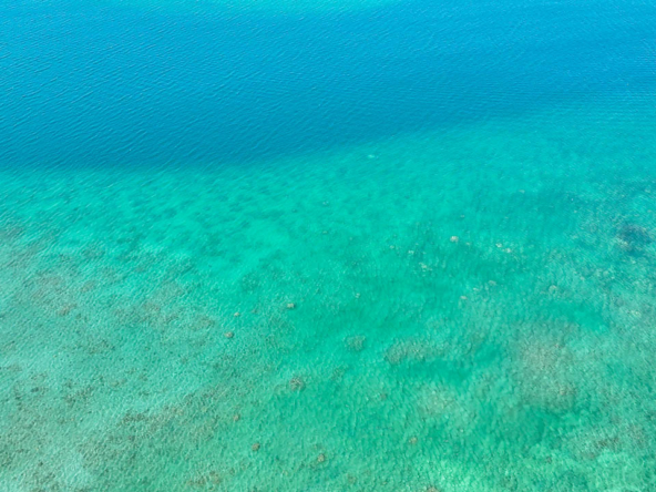 Résidence front de mer The Peninsula à Rivière Noire, île Maurice – projet immobilier exclusif proposé par Ohana Heritage Group