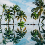 Vue panoramique sur une résidence de luxe à l’île Maurice, accessible aux ressortissants russes via le programme PDS.