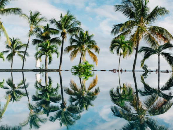 Vue panoramique sur une résidence de luxe à l’île Maurice, accessible aux ressortissants russes via le programme PDS.